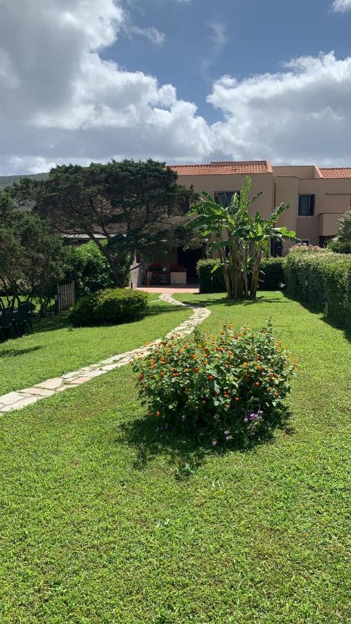 Pelosa - Capo Falcone Excellent Apartment Стінтіно Екстер'єр фото