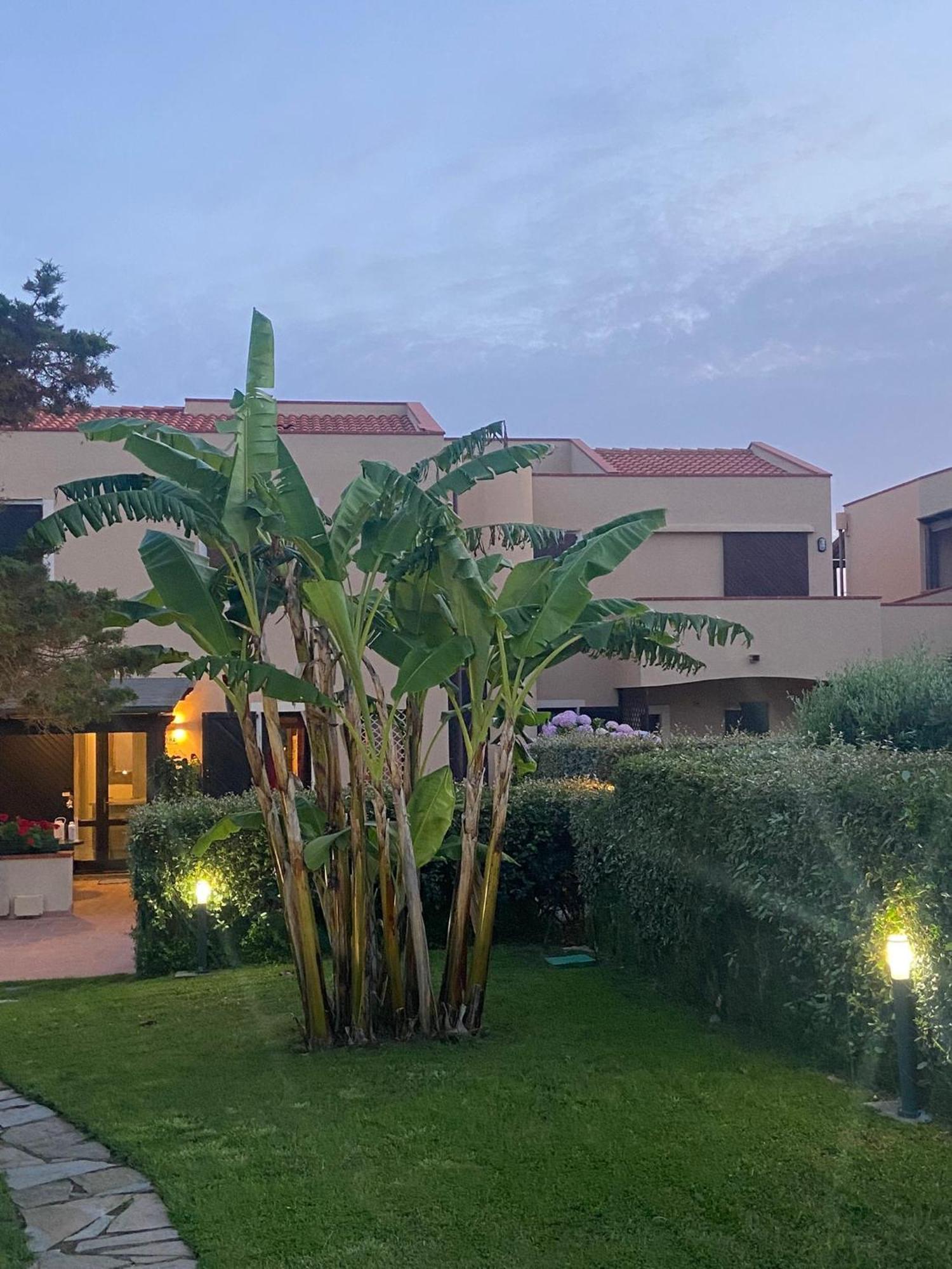 Pelosa - Capo Falcone Excellent Apartment Стінтіно Екстер'єр фото